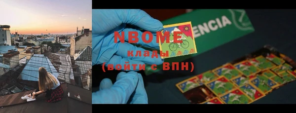 дмт Тайга