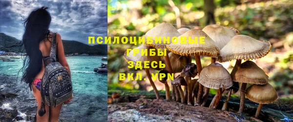 стафф Алзамай