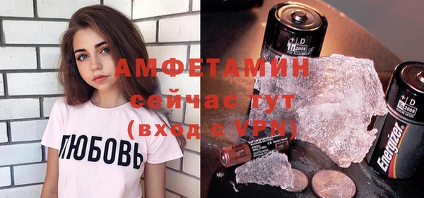 дмт Тайга